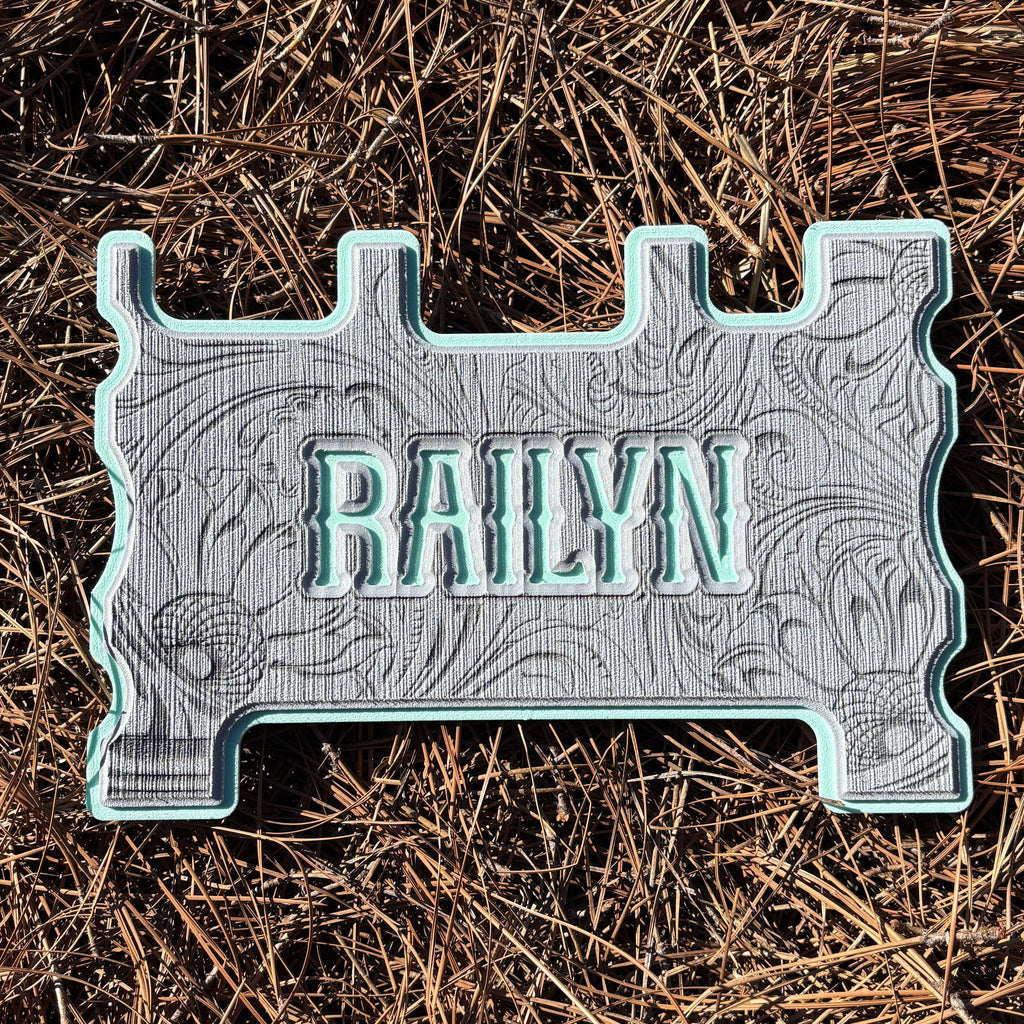 "OUTLAW" - Custom Speaker Shell for Turtlebox or Ecoxgear Defender