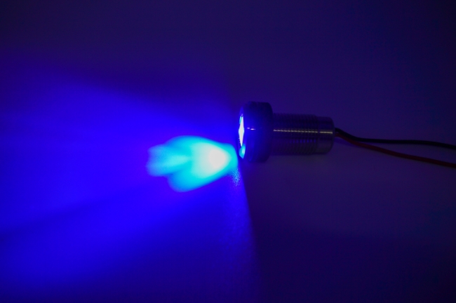 Livewell Light (Courtesy Light)