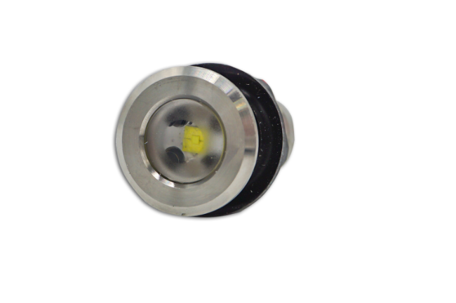 Livewell Light (Courtesy Light)